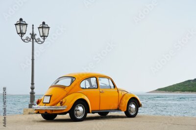 Bild Gelber Käfer am Meer