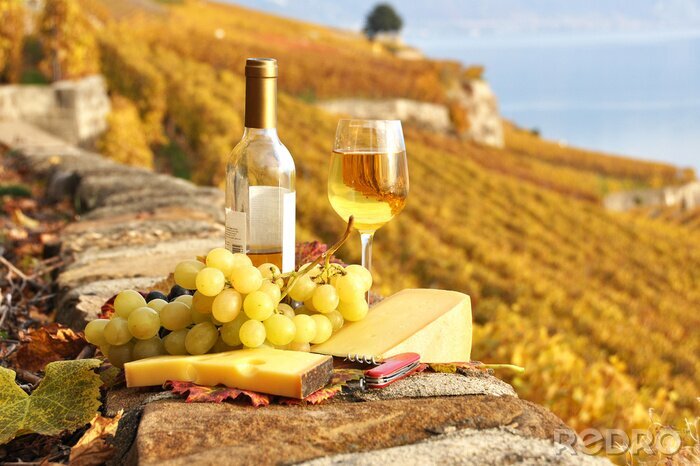 Bild Gelber Käse und Glas Wein