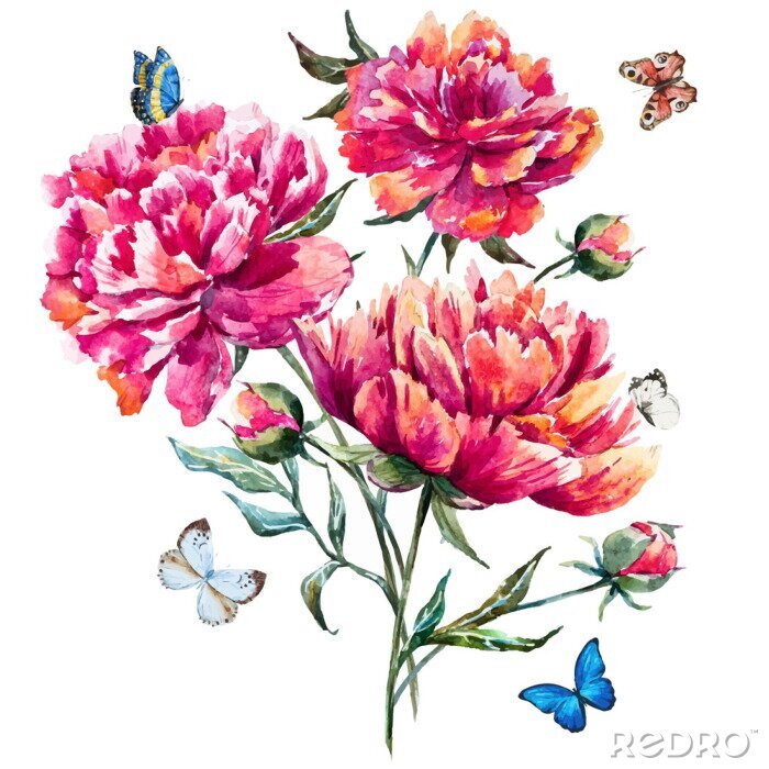 Bild Gemalte Pfingstrosen und Schmetterlinge