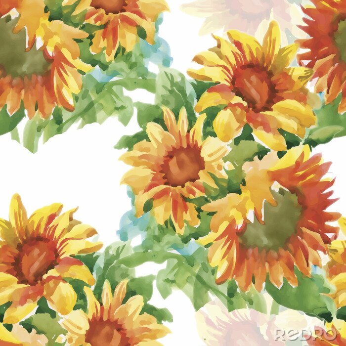 Bild Gemalte Sonnenblumen auf weißem Hintergrund