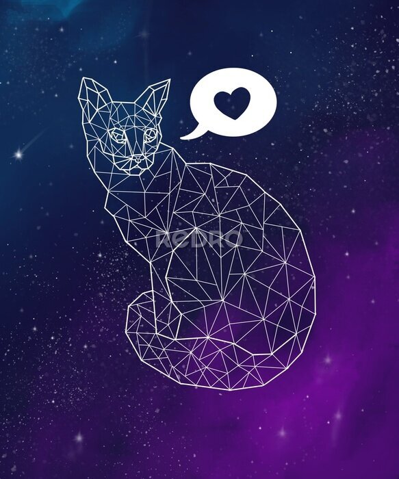 Bild Geometrische Katze auf dem Hintergrund der Galaxie