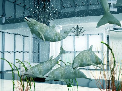 Bild Geräumiges modernes Aquarium mit Delphinen