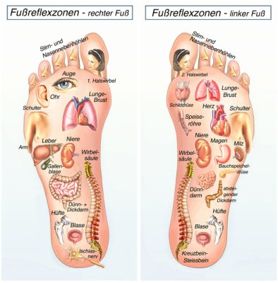 Bild Gesundheit und Schönheit Fußreflexzonen