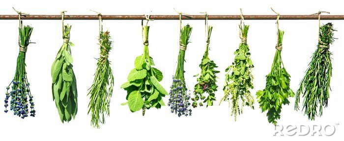 Bild Getrocknete Kräutersträuße