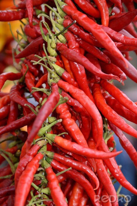 Bild Gewürzte rote Peperoni-Schoten