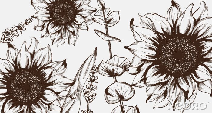 Bild Gezeichnete Sonnenblumen im Vintage-Stil