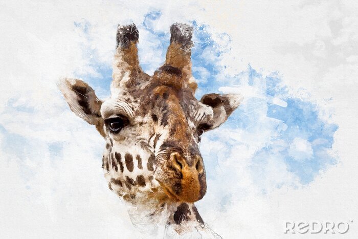 Bild Giraffe in weißen Wolken