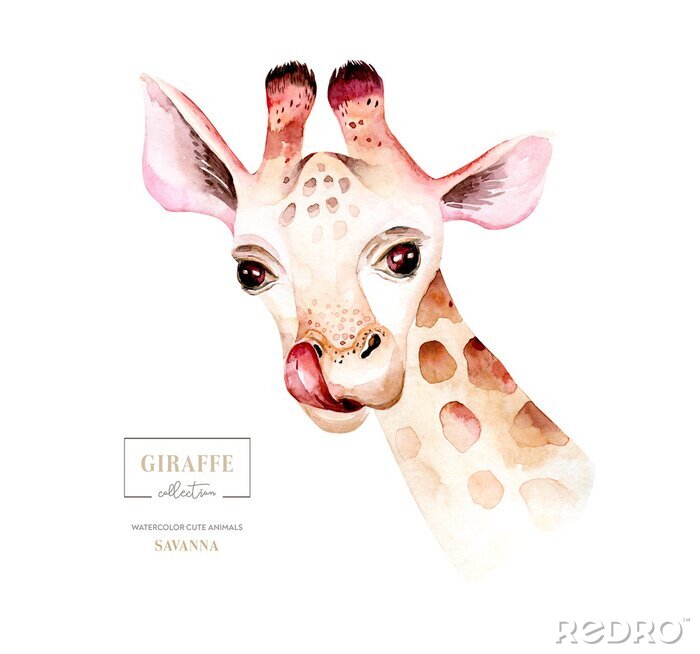 Bild Giraffe Kopf Aquarell