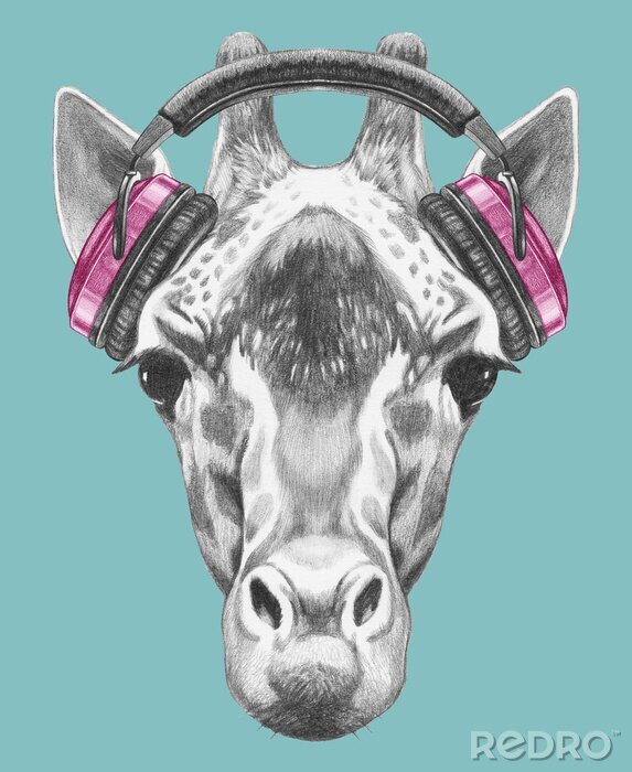 Bild Giraffe mit Kopfhörern