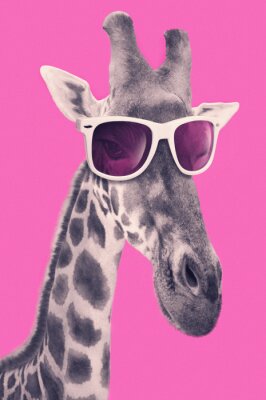 Giraffe mit rosa Brille