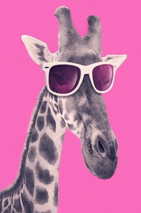 Bild Giraffe mit rosa Brille