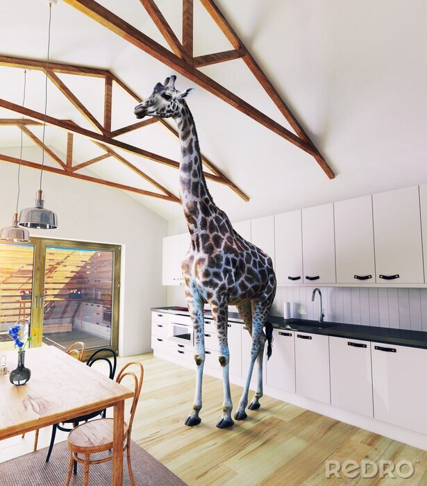 Bild Giraffe zu Hause