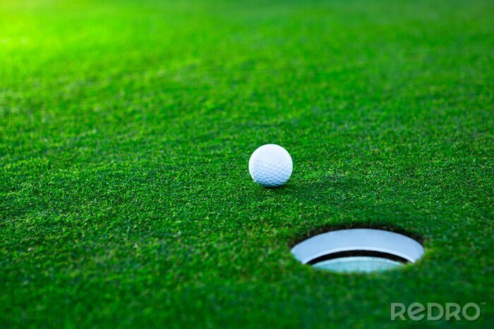Bild Golfball auf grünem Golfplatz