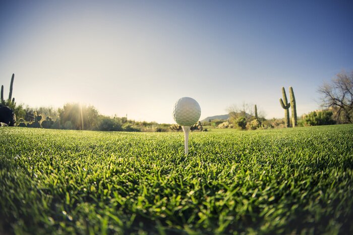Bild Golfball mit Kakteen im Hintergrund