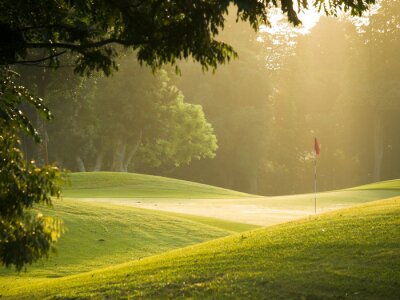 Golfplatz und Grün im Sonnenschein
