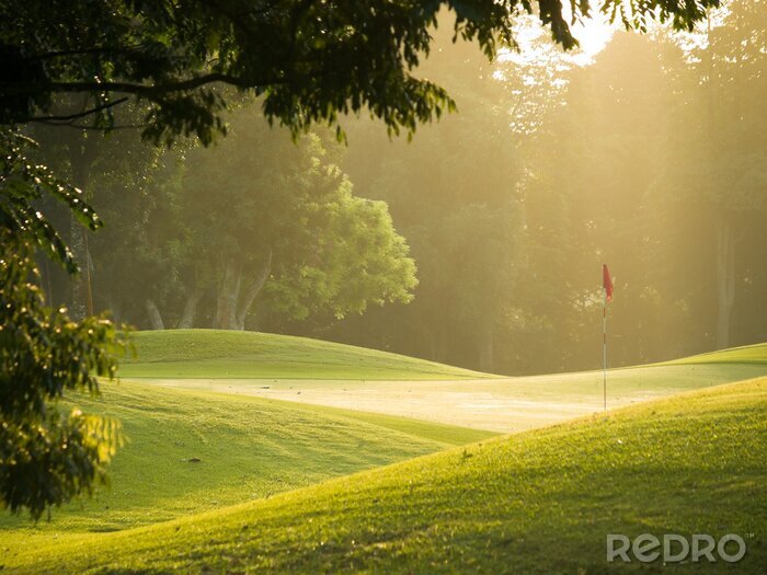 Bild Golfplatz und Grün im Sonnenschein