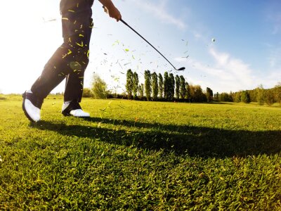 Bild Golfspieler auf grünem Golfplatz