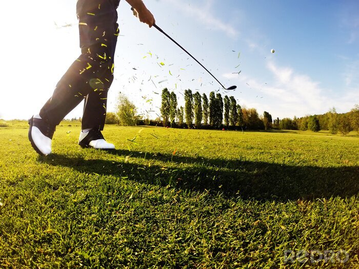 Bild Golfspieler auf grünem Golfplatz