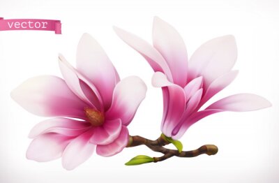 Grafische Magnolien in 3D