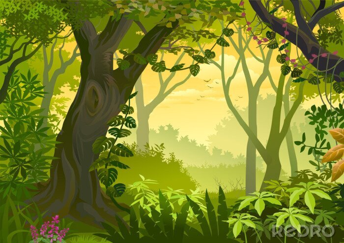 Bild Grafischer Dschungel für Kinder