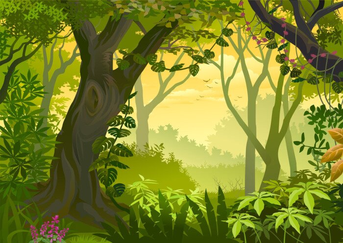 Bild Grafischer Dschungel für Kinder