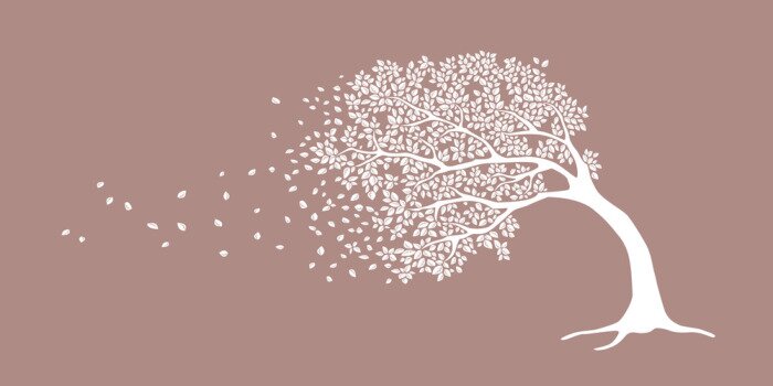 Bild Grafisches Muster mit einem Baum