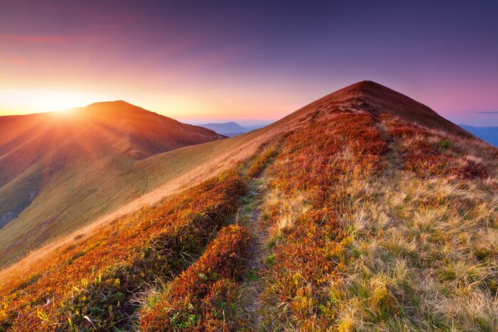 Bild Gras auf dem Berggipfel