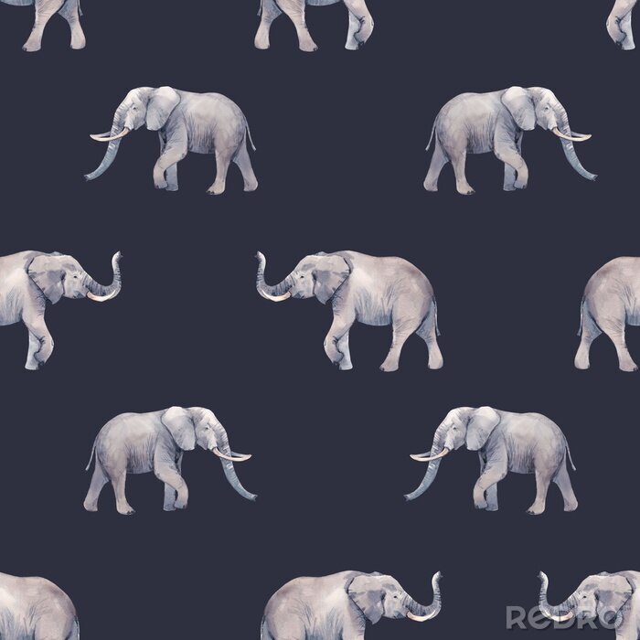Bild Graue Elefanten auf dunklem Hintergrund
