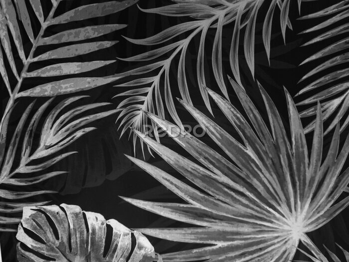 Bild Graue Palmblätter auf schwarzem Hintergrund