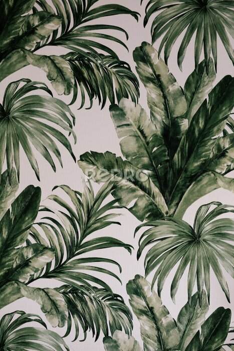 Bild green leaves paper wall simulating the jungle