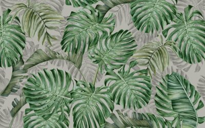 Große Monstera-Blätter auf grauem Hintergrund