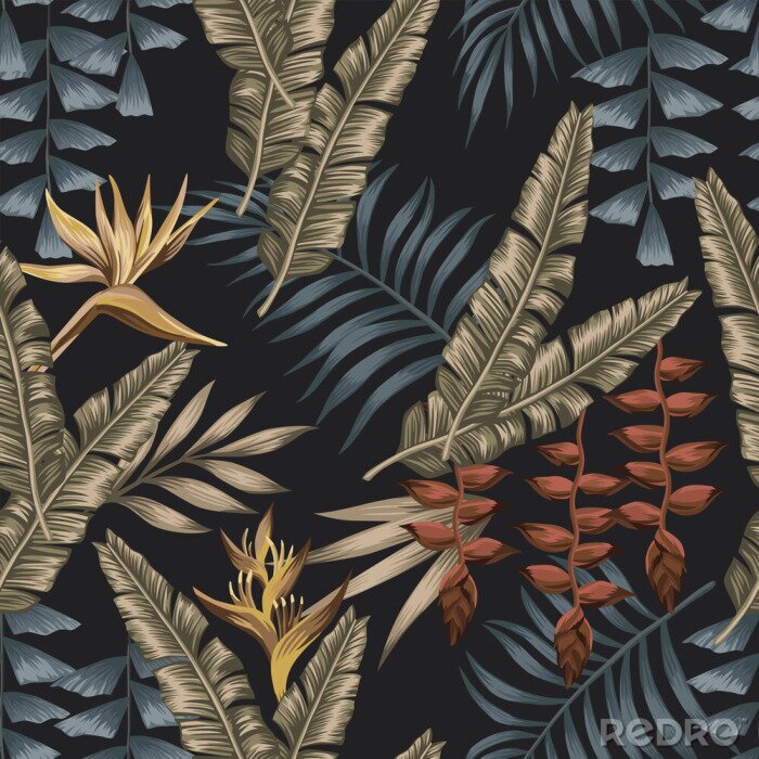 Bild Große tropische Blätter auf schwarzem Hintergrund