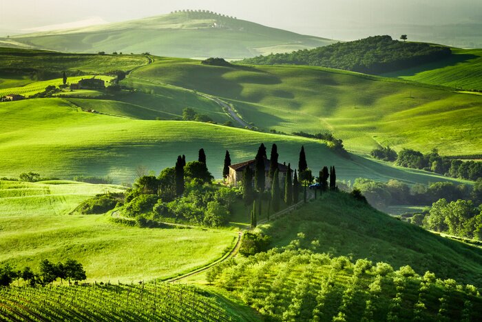 Bild Grün der Toskana