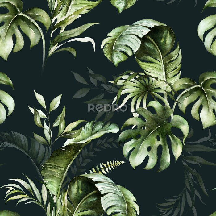 Bild Grüne Aquarell-Blätter auf schwarzem Hintergrund