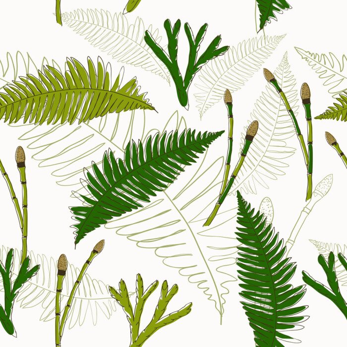 Bild Grüne Farne als Öko-Thema