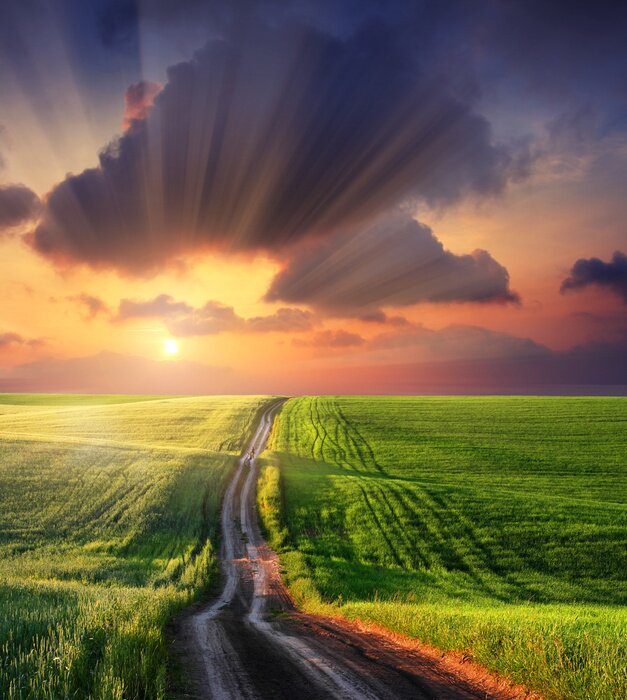 Bild Grüne Felder und Sonnenstrahlen