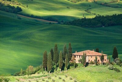 Grüne Landschaft auf dem Dorf in der Toskana