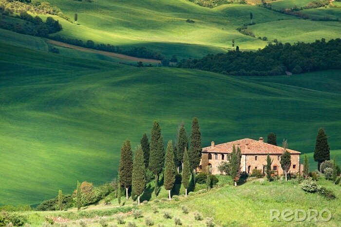 Bild Grüne Landschaft auf dem Dorf in der Toskana