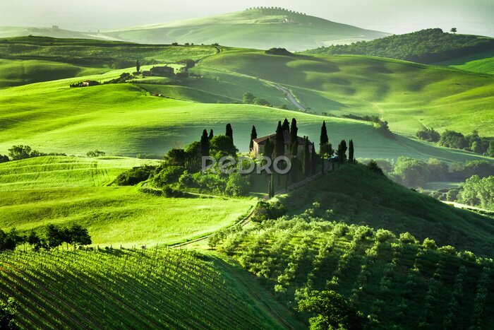Bild Grüne Landschaft der Toskana