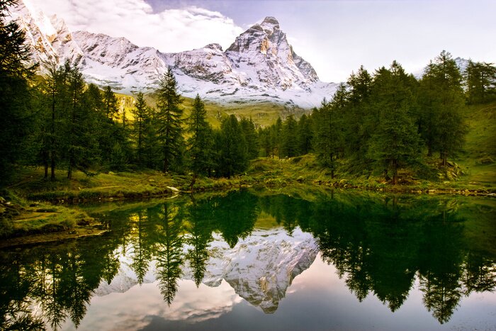 Bild Grüne Landschaft mit Bergen