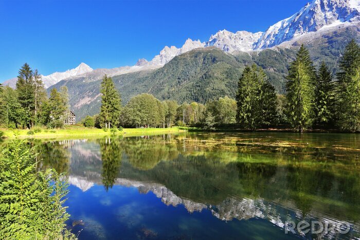 Bild Grüne Pflanzen und graue Berge