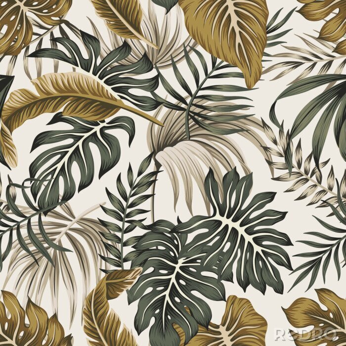 Bild Grüne und beige Blätter aus den Tropen