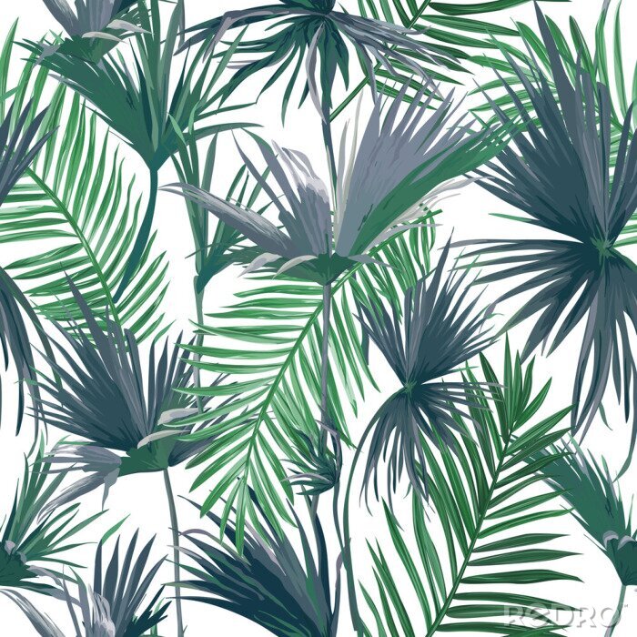Bild Grüne und graue Blätter aus dem tropischen Dschungel