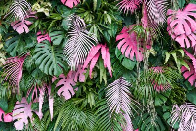Grüne und rosa tropische Blätter