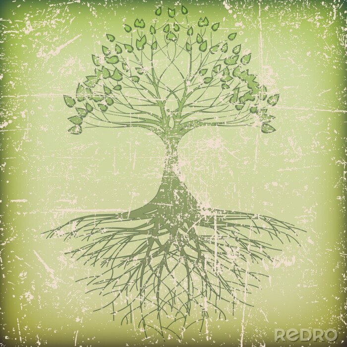 Bild Grüner Baum mit Wurzeln