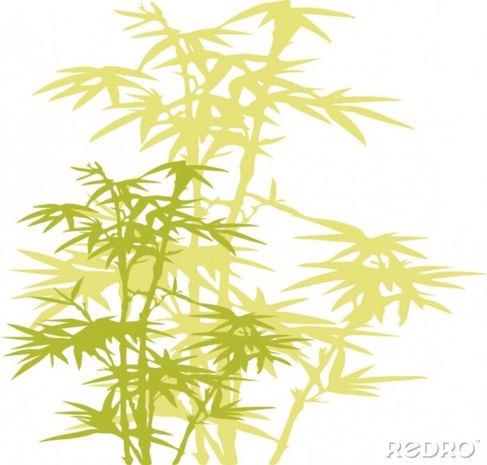 Bild Grüner grafischer Bambus