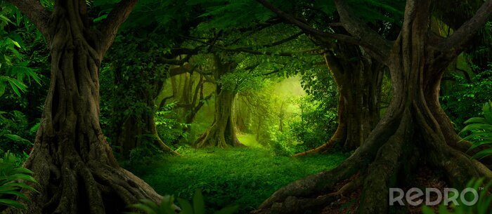 Bild Grüner Wald Fantasy