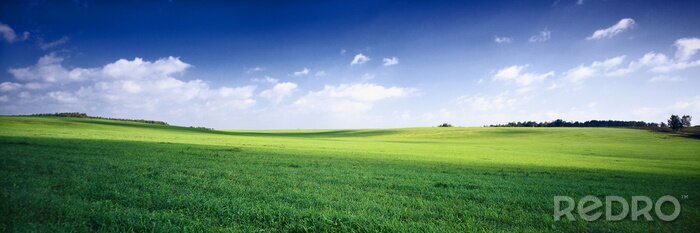 Bild Grünes Panorama mit Himmel