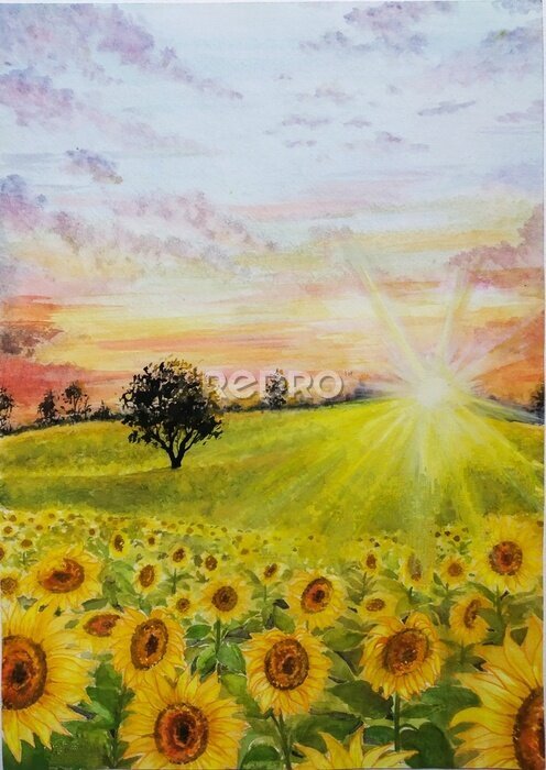 Bild Hand drawn watercolor painting of field of sunflowers at sunset