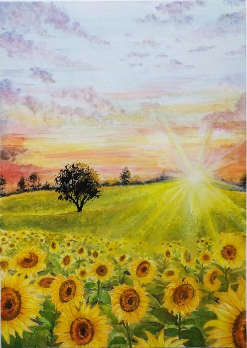 Bild Hand drawn watercolor painting of field of sunflowers at sunset